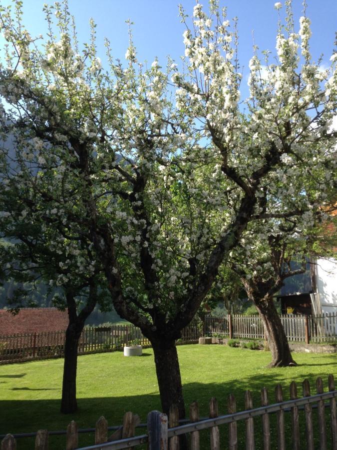 Casa Schuoler Daire Disentis Dış mekan fotoğraf