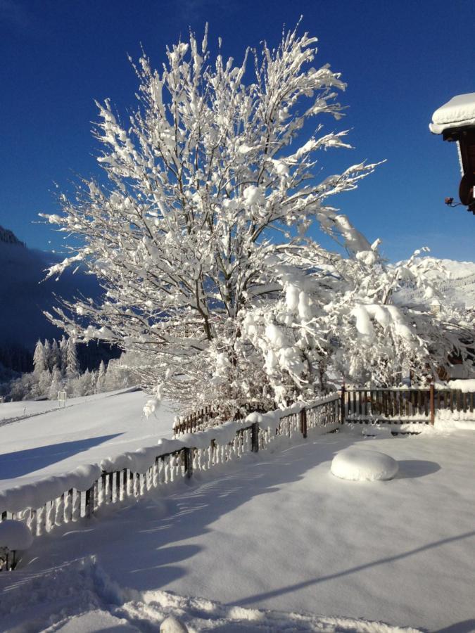 Casa Schuoler Daire Disentis Dış mekan fotoğraf