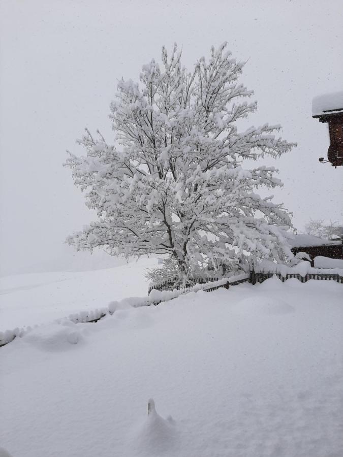 Casa Schuoler Daire Disentis Dış mekan fotoğraf