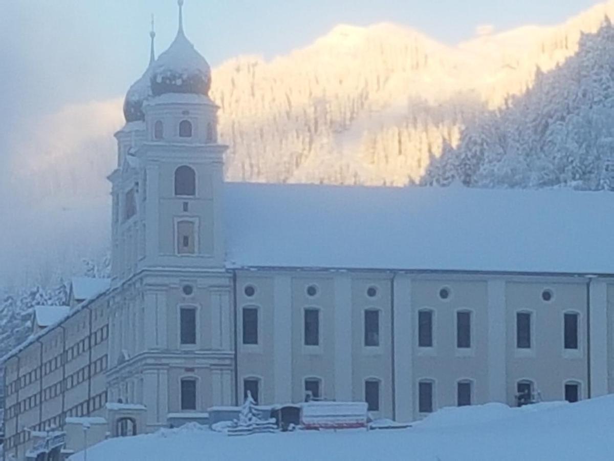 Casa Schuoler Daire Disentis Dış mekan fotoğraf