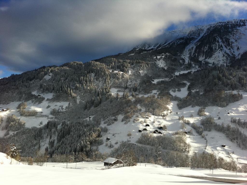 Casa Schuoler Daire Disentis Dış mekan fotoğraf